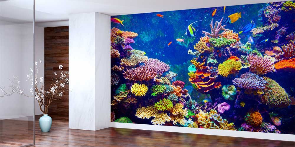 Renkli Mercan Resifi Su Altı Duvar Kağıdı 12807