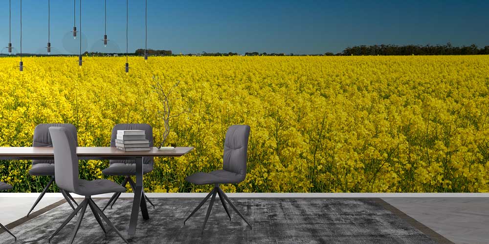 wallpaper-wall-art-12818-02 Afrika savanasında dev baobab ağacı ve geniş doğa manzaralı duvar kağıdı tasarımı. 12818