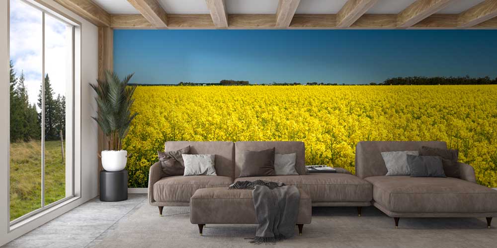 wallpaper-wall-art-12818-03 Afrika savanasında dev baobab ağacı ve geniş doğa manzaralı duvar kağıdı tasarımı. 12818