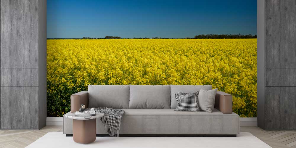 wallpaper-wall-art-12818-04 Afrika savanasında dev baobab ağacı ve geniş doğa manzaralı duvar kağıdı tasarımı. 12818