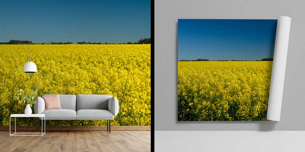 wallpaper-wall-art-12818-05 Afrika savanasında dev baobab ağacı ve geniş doğa manzaralı duvar kağıdı tasarımı. 12818