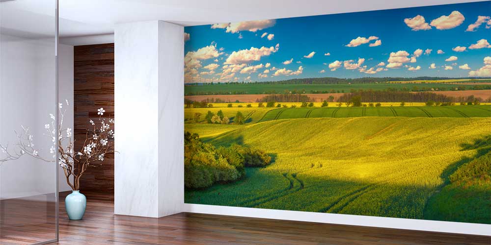 Yeşil Kır ve Tarla Manzaralı Duvar Kağıdı 12991