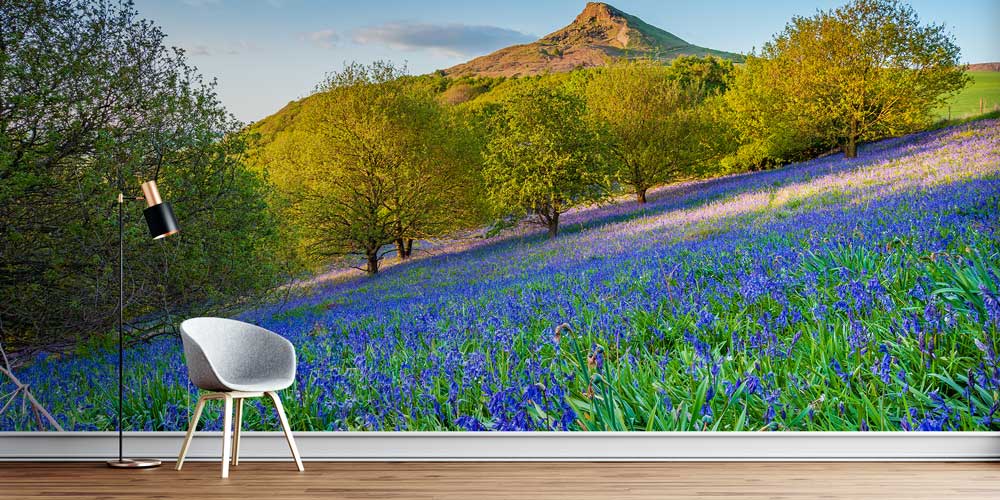 Mavi Çan Çiçeği Tarlası Manzaralı Duvar Kağıdı 12993