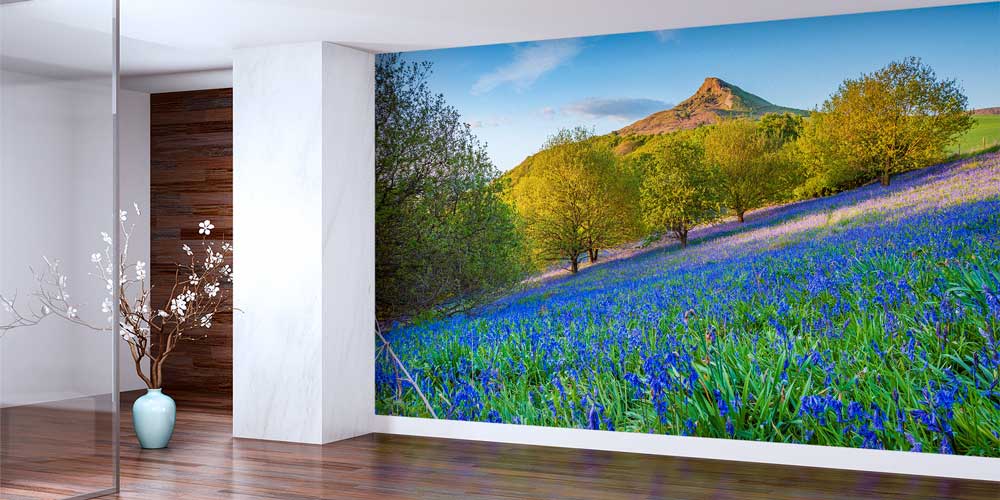 Mavi Çan Çiçeği Tarlası Manzaralı Duvar Kağıdı 12993