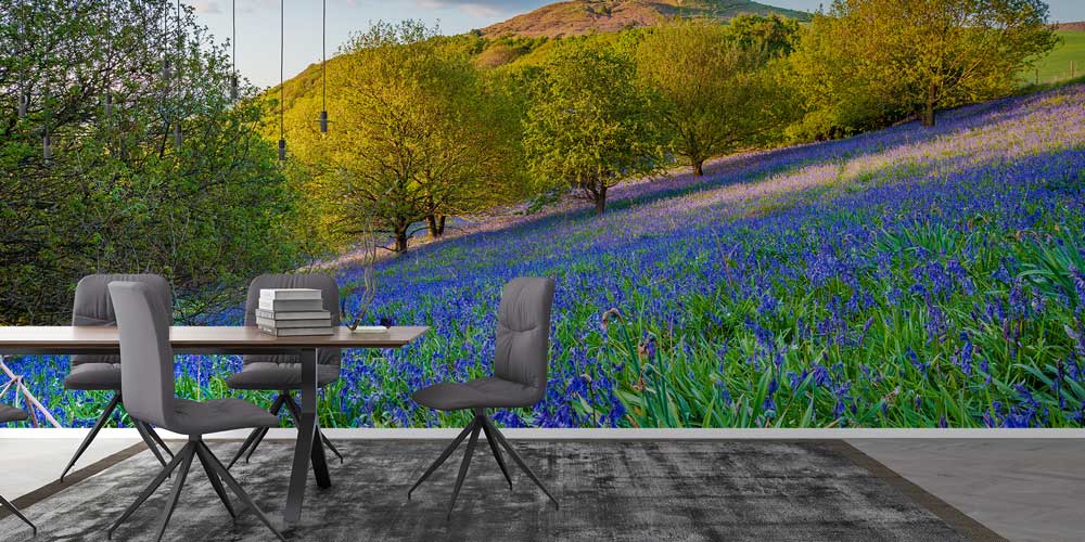 Mavi Çan Çiçeği Tarlası Manzaralı Duvar Kağıdı 12993