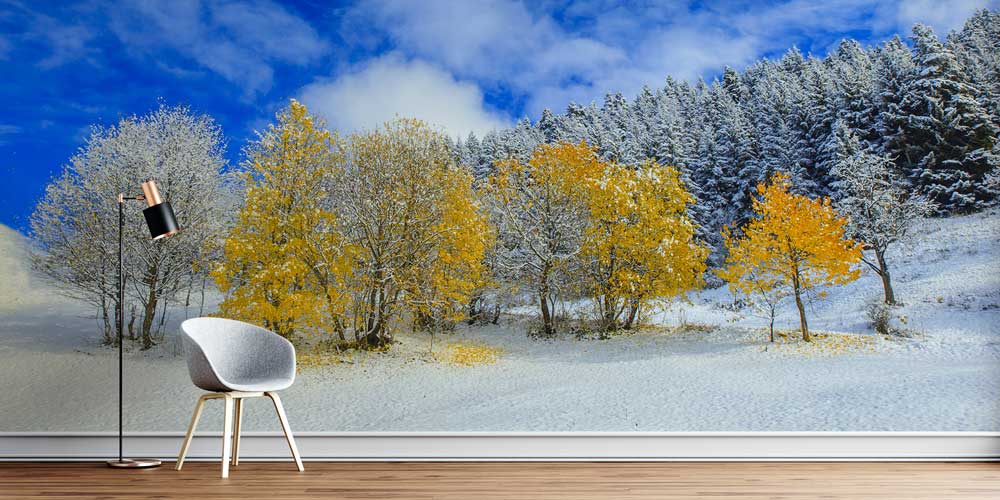 Karlı Sonbahar Ağaçları Doğa Manzarası Duvar Kağıdı 11592