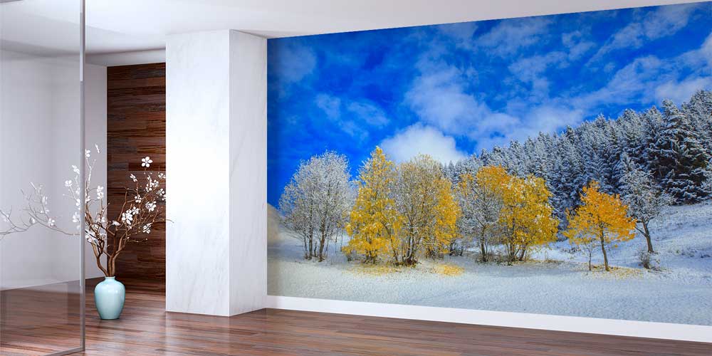 Karlı Sonbahar Ağaçları Doğa Manzarası Duvar Kağıdı 11592