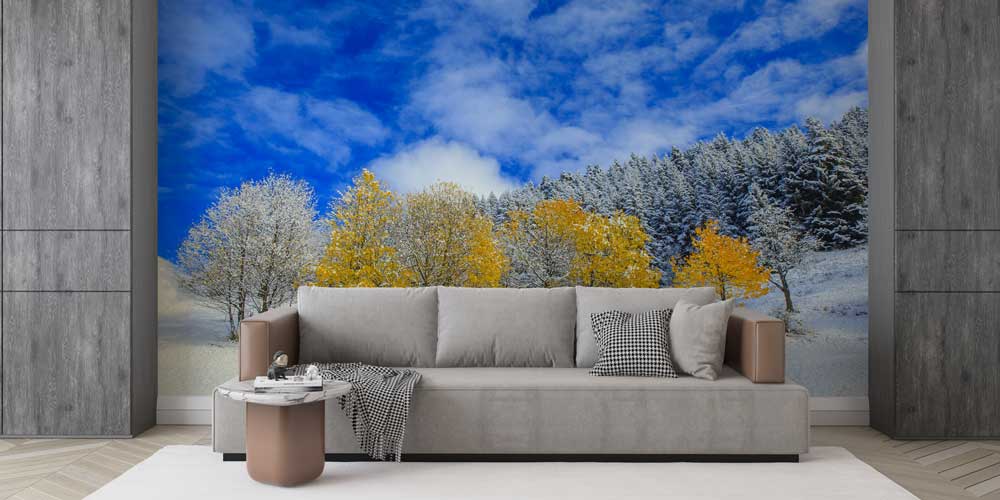 Karlı Sonbahar Ağaçları Doğa Manzarası Duvar Kağıdı 11592