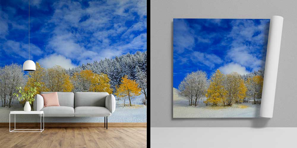 Karlı Sonbahar Ağaçları Doğa Manzarası Duvar Kağıdı 11592