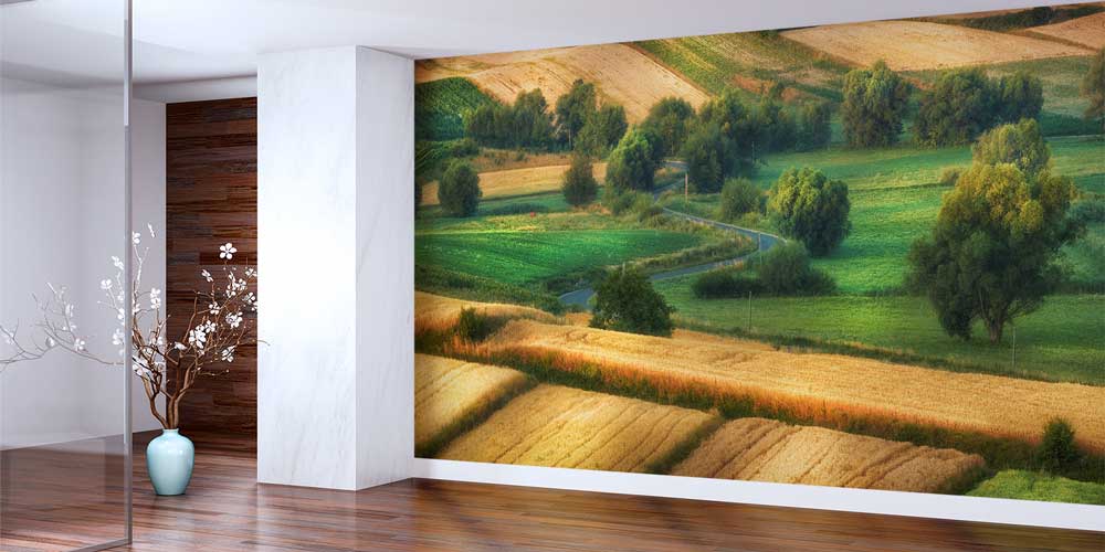 Kırsal Yeşil Tarlalar ve Kıvrımlı Yol Manzarası Duvar Kağıdı 13060