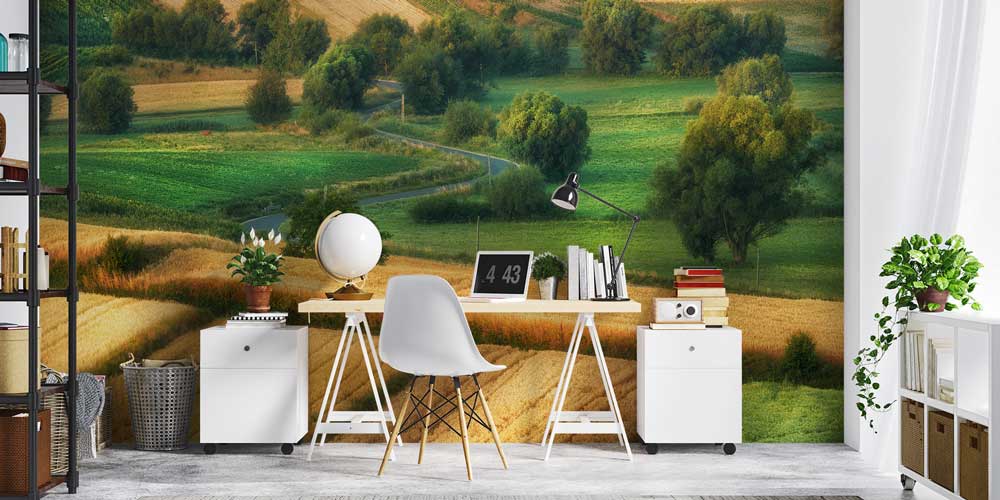 Kırsal Yeşil Tarlalar ve Kıvrımlı Yol Manzarası Duvar Kağıdı 13060