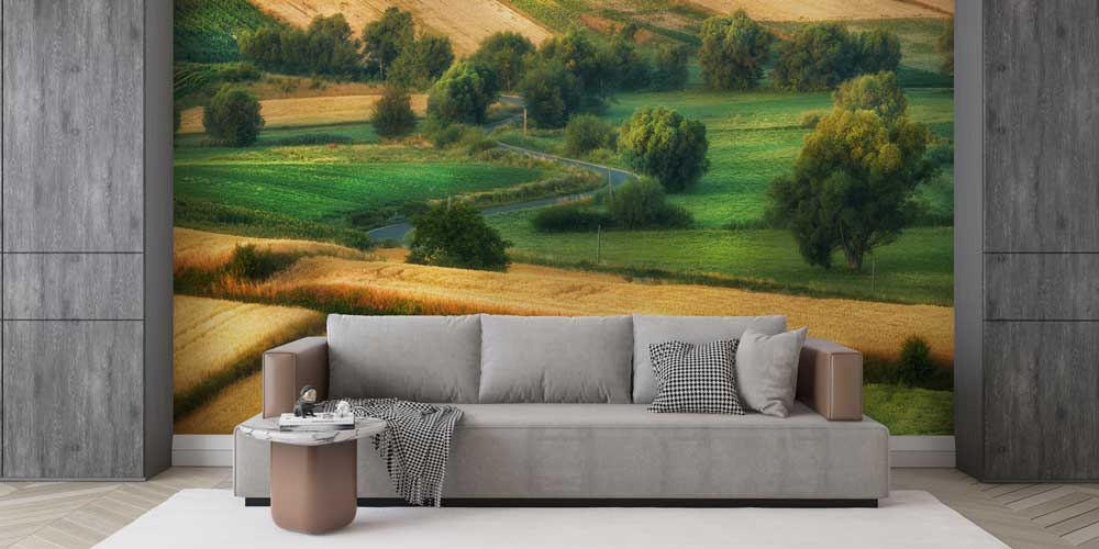 Kırsal Yeşil Tarlalar ve Kıvrımlı Yol Manzarası Duvar Kağıdı 13060