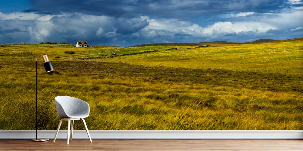 wallpaper-wall-cover-13067-00 Geniş Kır Manzarası ve Tek Ev Duvar Kağıdı 13067