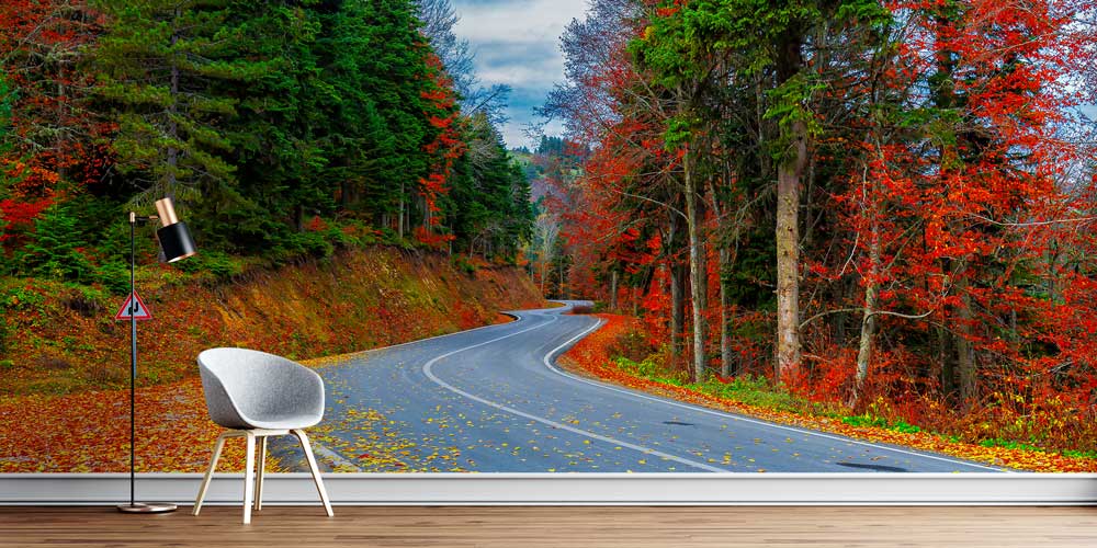 Sonbahar Orman Yolu Manzarası Duvar Kağıdı 11562