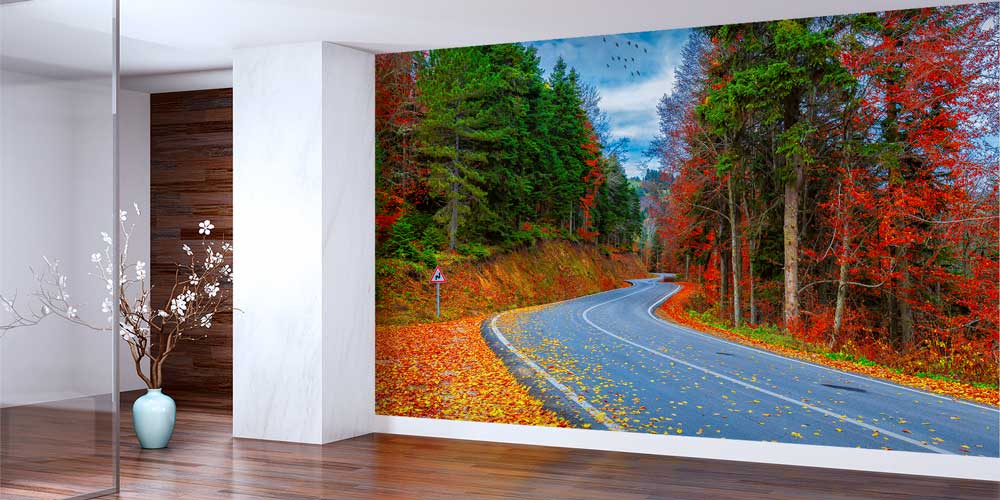 Sonbahar Orman Yolu Manzarası Duvar Kağıdı 11562