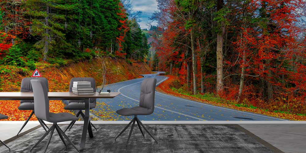 Sonbahar Orman Yolu Manzarası Duvar Kağıdı 11562