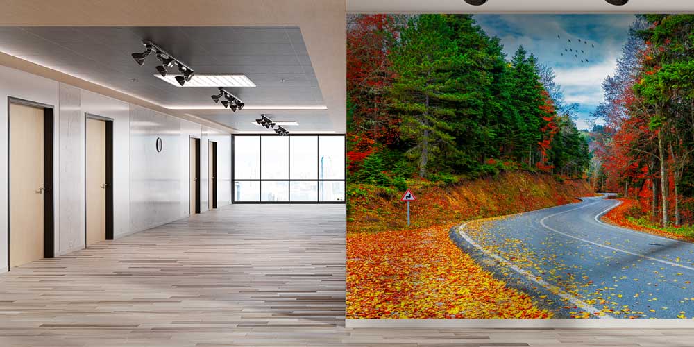 Sonbahar Orman Yolu Manzarası Duvar Kağıdı 11562