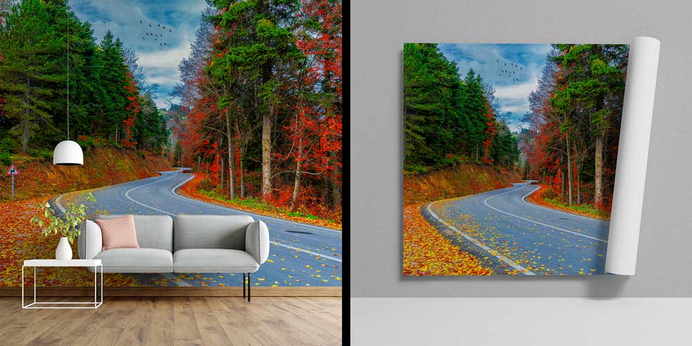 Sonbahar Orman Yolu Manzarası Duvar Kağıdı 11562