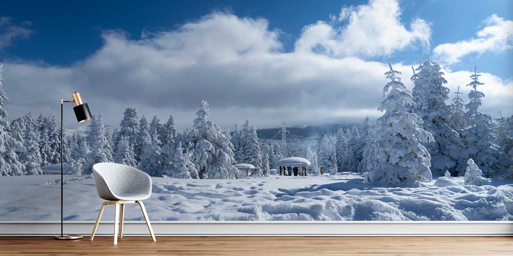 Karlı Çam Ormanı ve Geniş Kış Manzarası Duvar Kağıdı 11564