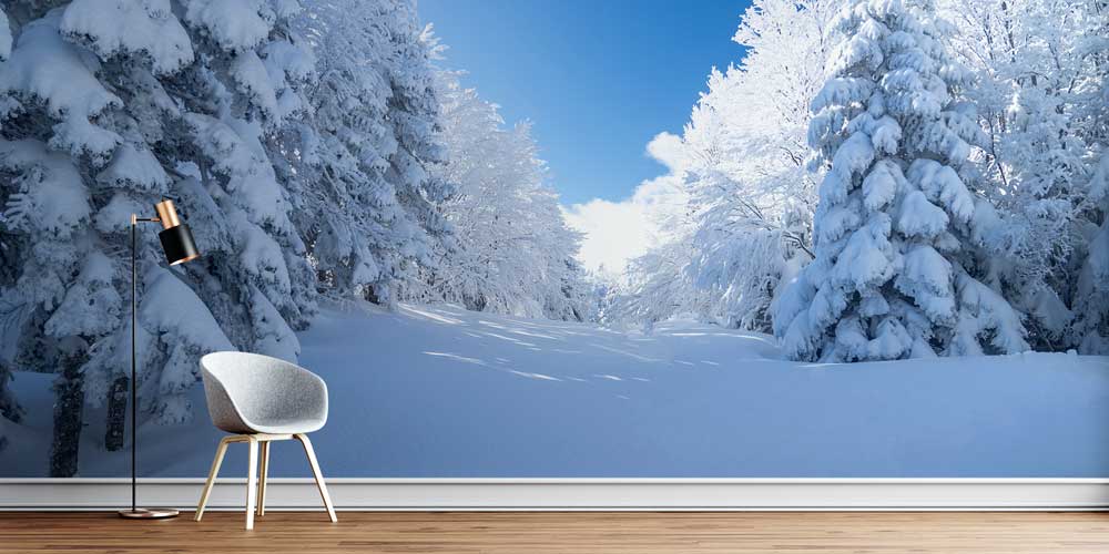 Karlı Orman Açıklığı ve Çam Ağaçları Kış Manzarası Duvar Kağıdı 11568