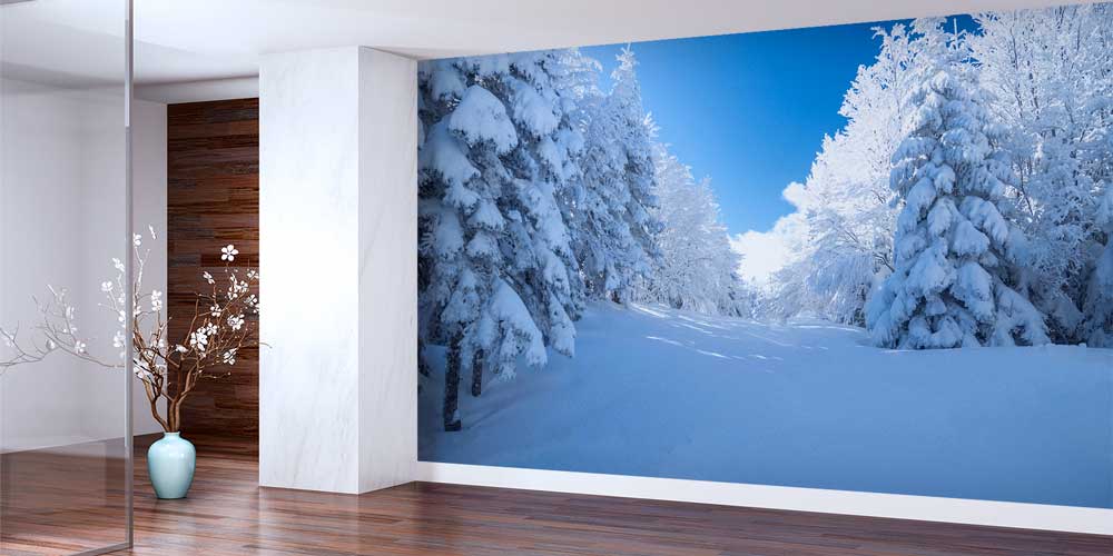 Karlı Orman Açıklığı ve Çam Ağaçları Kış Manzarası Duvar Kağıdı 11568