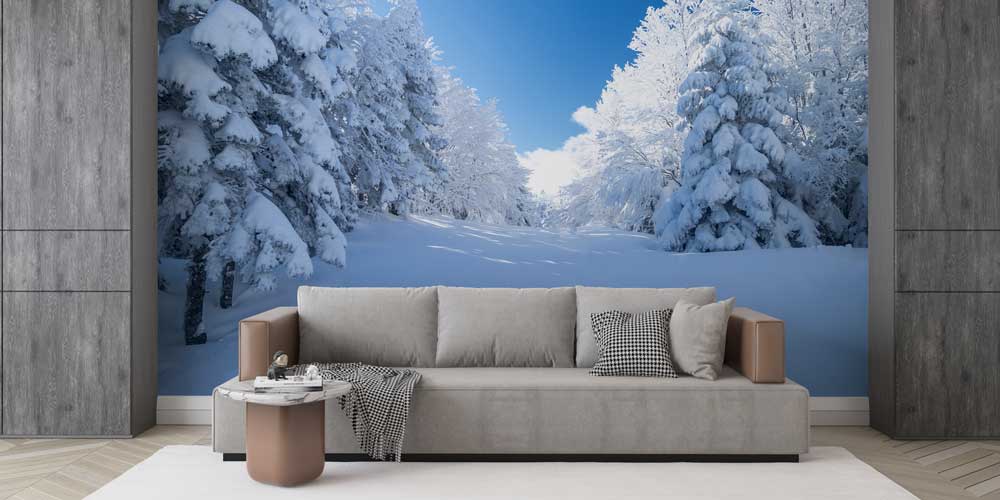 Karlı Orman Açıklığı ve Çam Ağaçları Kış Manzarası Duvar Kağıdı 11568