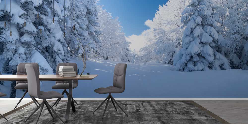 Karlı Orman Açıklığı ve Çam Ağaçları Kış Manzarası Duvar Kağıdı 11568