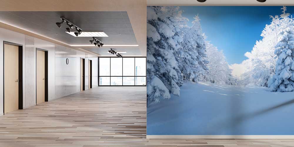 Karlı Orman Açıklığı ve Çam Ağaçları Kış Manzarası Duvar Kağıdı 11568