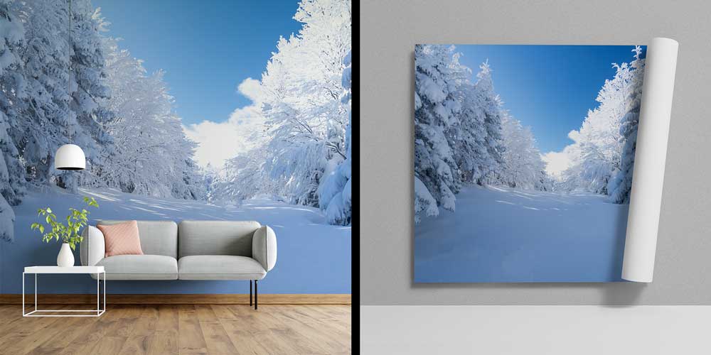 Karlı Orman Açıklığı ve Çam Ağaçları Kış Manzarası Duvar Kağıdı 11568