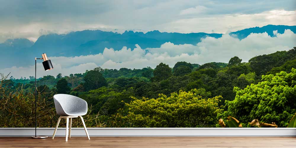 Tropik Orman ve Sisli Dağ Manzarası Duvar Kağıdı 12792