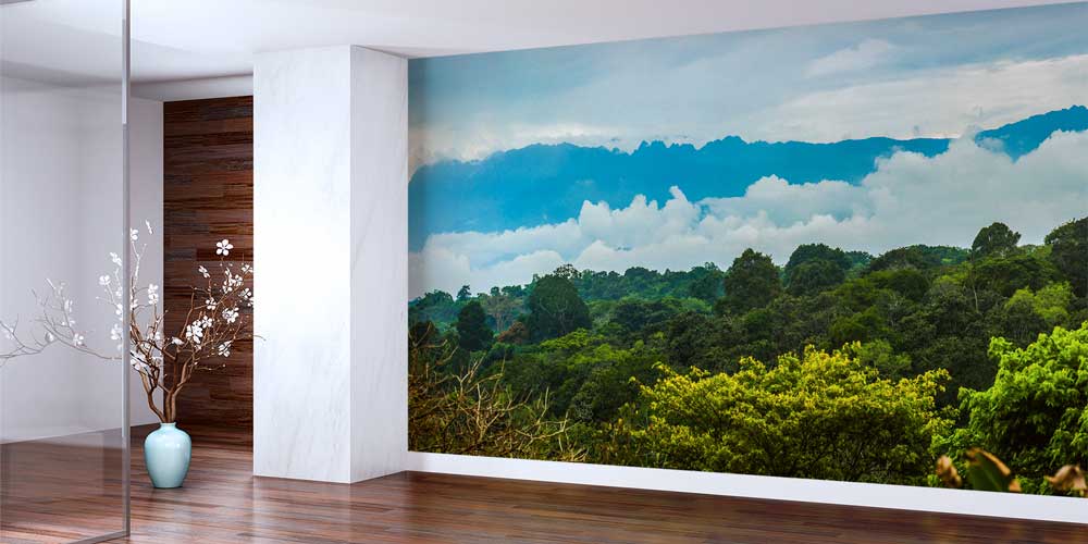 Tropik Orman ve Sisli Dağ Manzarası Duvar Kağıdı 12792