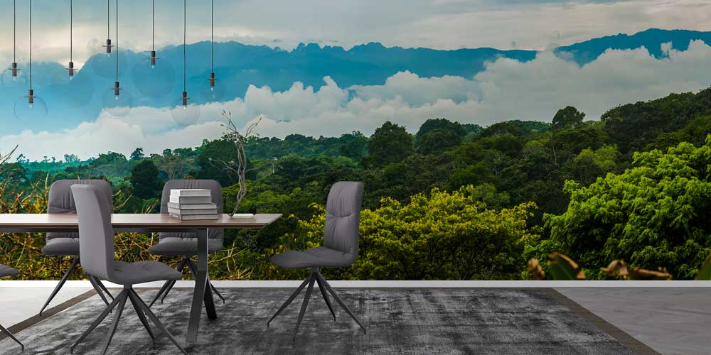 Tropik Orman ve Sisli Dağ Manzarası Duvar Kağıdı 12792