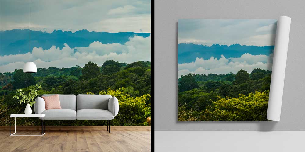 Tropik Orman ve Sisli Dağ Manzarası Duvar Kağıdı 12792