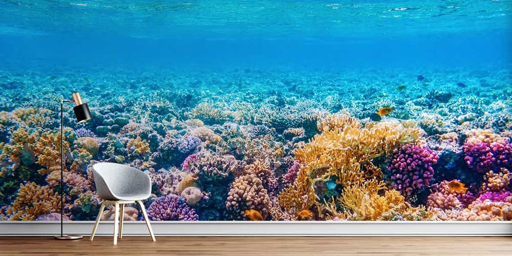 Mercan Resifi Okyanus Altı Duvar Kağıdı 12806