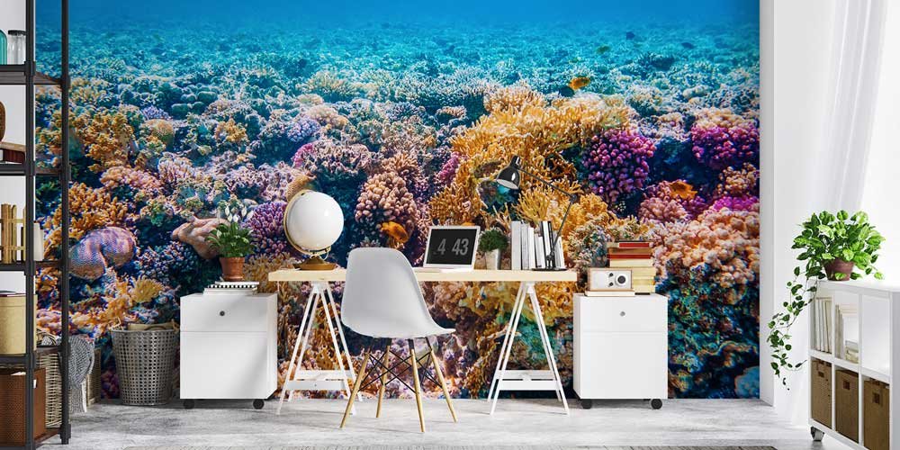 Mercan Resifi Okyanus Altı Duvar Kağıdı 12806