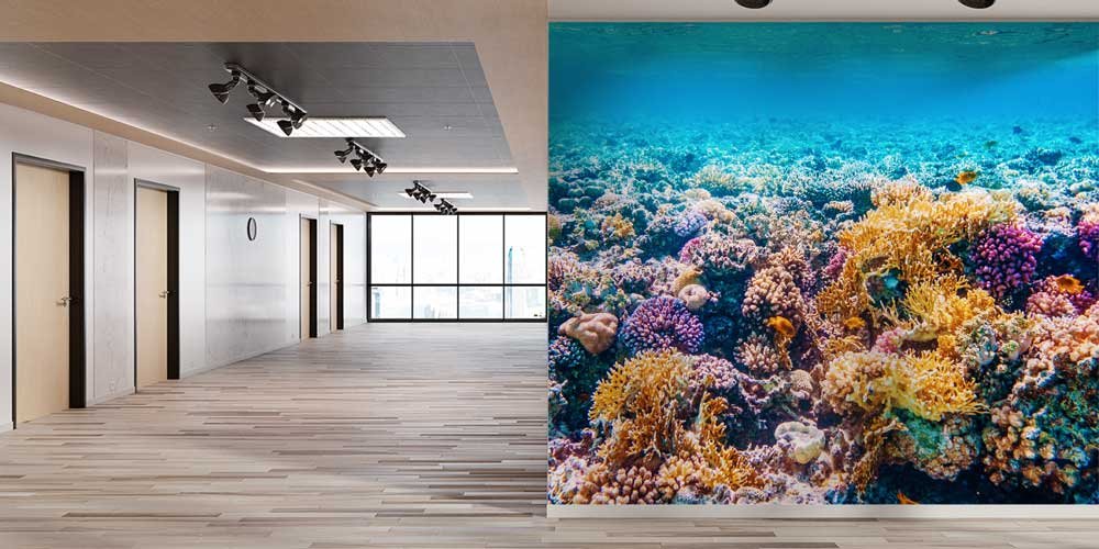 Mercan Resifi Okyanus Altı Duvar Kağıdı 12806
