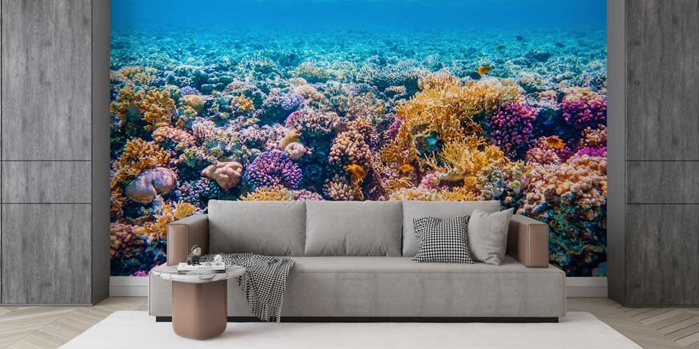 Mercan Resifi Okyanus Altı Duvar Kağıdı 12806