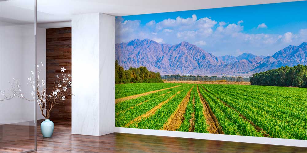 wallpaper-wall-decor-12884-01 Tarım Arazisi Yeşil Tarlalar Panoramik Duvar Kaplaması 12884