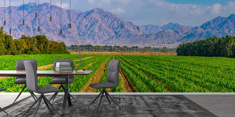 wallpaper-wall-decor-12884-02 Tarım Arazisi Yeşil Tarlalar Panoramik Duvar Kaplaması 12884