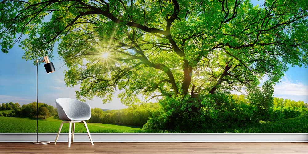 Güneşli Ağaç Manzarası Duvar Kağıdı 12939