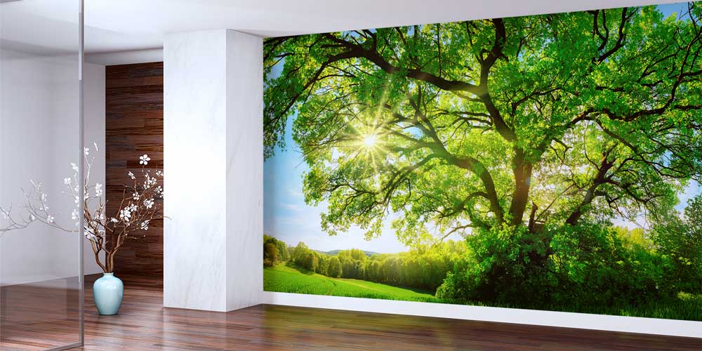 wallpaper-wall-decor-12939-01 Güneşli Ağaç Manzarası Duvar Kağıdı 12939