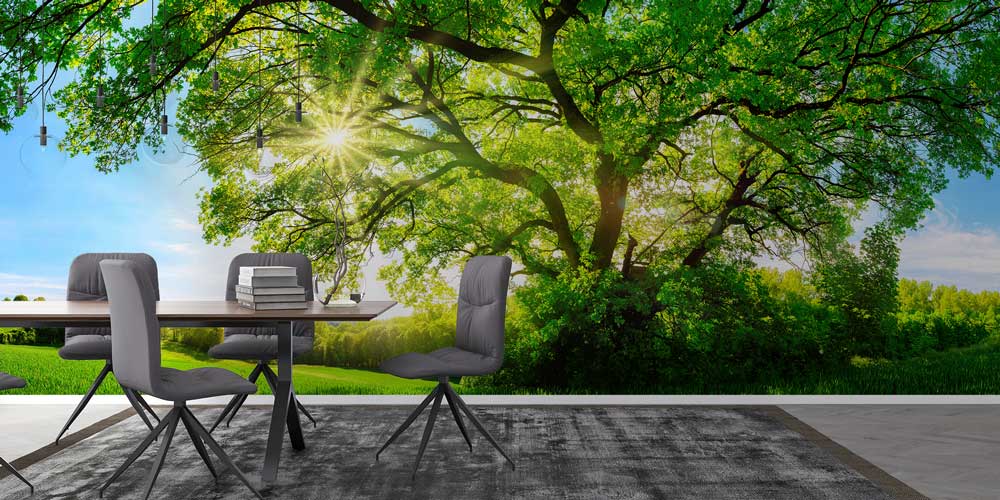 wallpaper-wall-decor-12939-02 Güneşli Ağaç Manzarası Duvar Kağıdı 12939