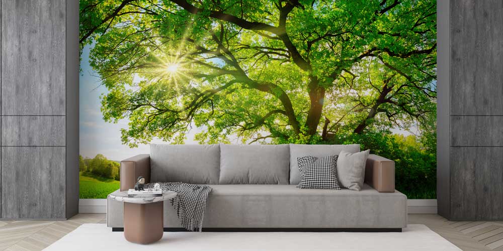 wallpaper-wall-decor-12939-03 Güneşli Ağaç Manzarası Duvar Kağıdı 12939