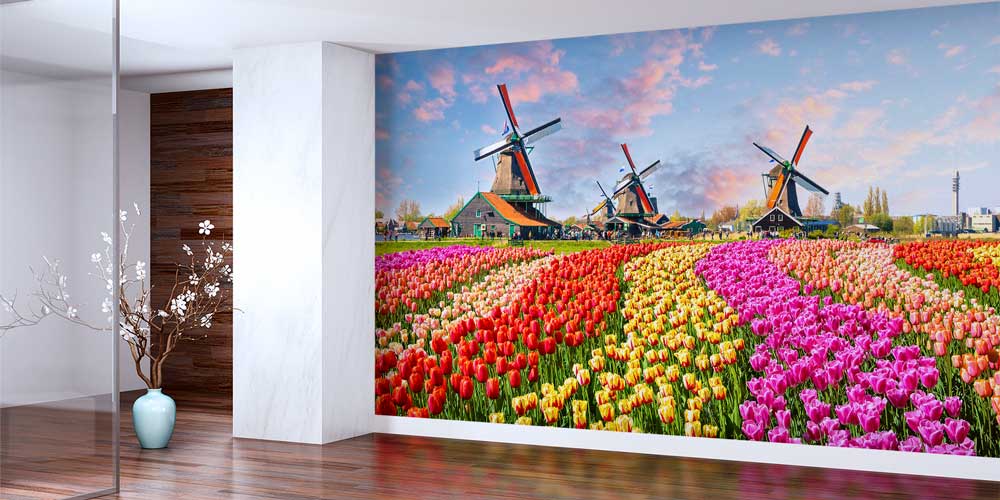 Lale Tarlası ve Yel Değirmenleri Duvar Kağıdı 12955