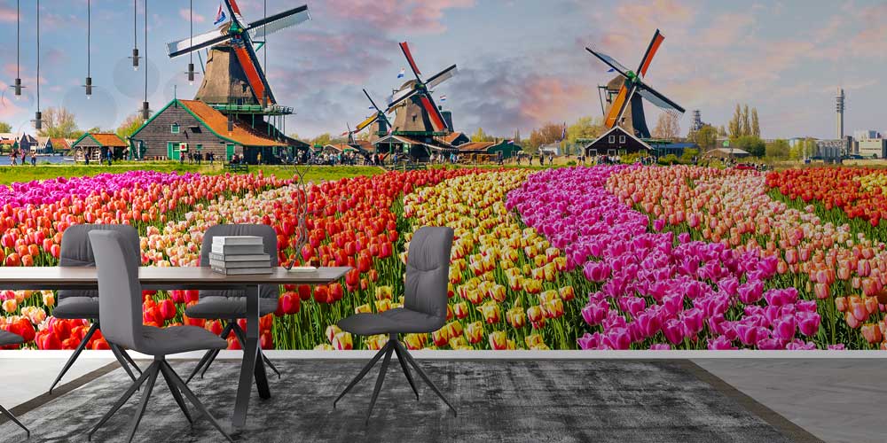 Lale Tarlası ve Yel Değirmenleri Duvar Kağıdı 12955