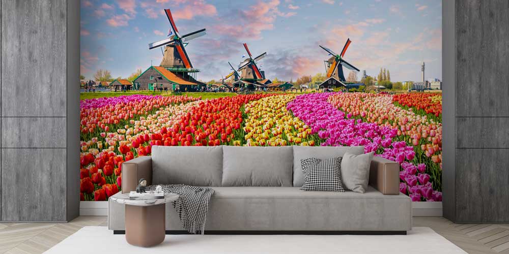 Lale Tarlası ve Yel Değirmenleri Duvar Kağıdı 12955