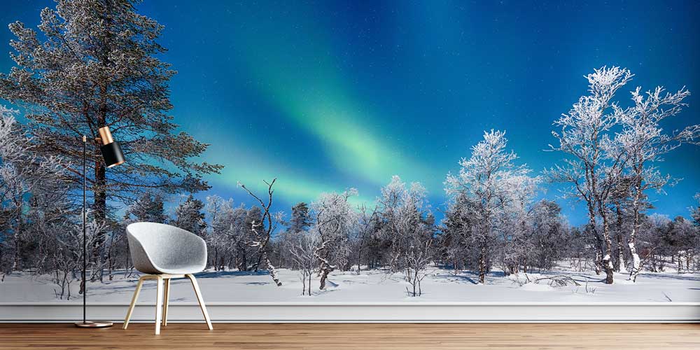 Kuzey Işıkları ve Karla Kaplı Orman Manzarası Duvar Kağıdı 12983