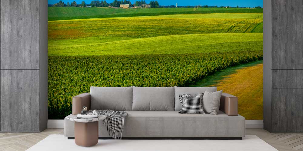 Yeşil Kırsal Tarım Manzaralı Duvar Kağıdı 13002