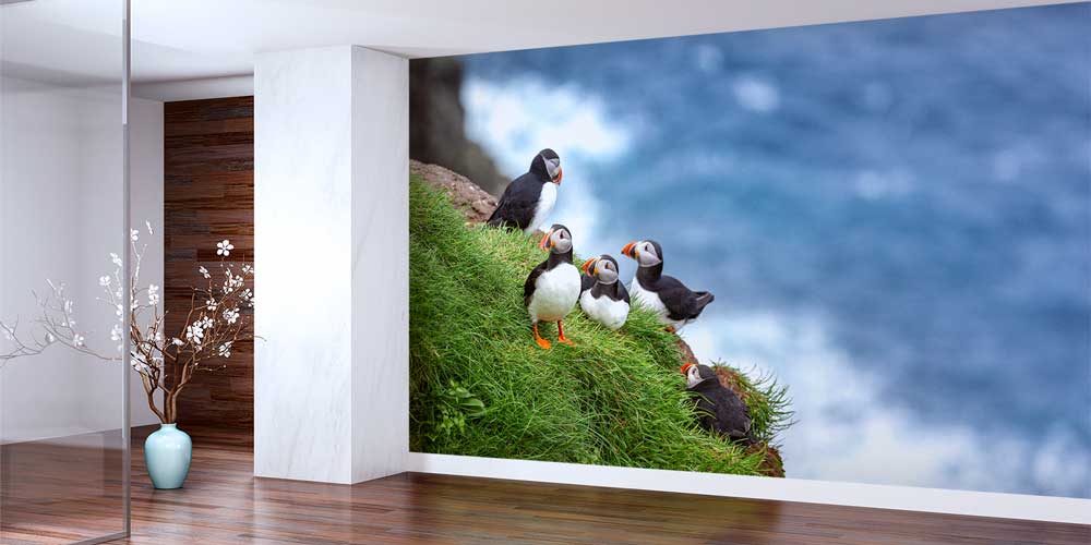 wallpaper-wall-decor-13039-01 Uçurum Kenarında Puffin Deniz Kuşları Manzaralı Doğa Duvar Kağıdı 13039