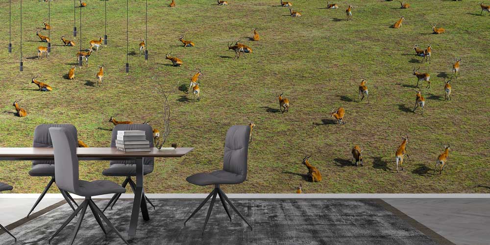 Afrika Antilop Sürüsü Panoramik Duvar Kağıdı 12800